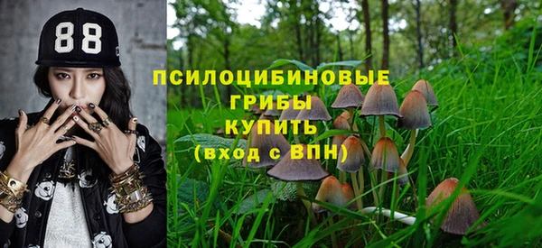 прущие крисы Володарск
