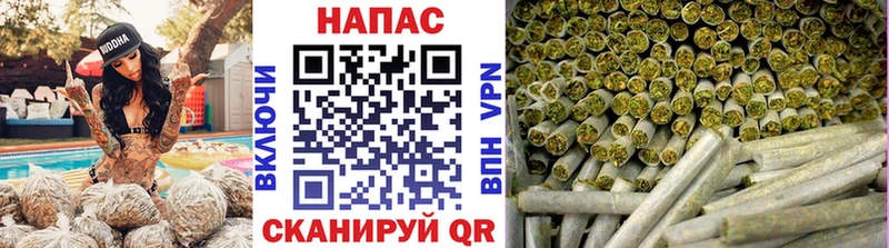 блэк спрут рабочий сайт  Нижнекамск  Бошки марихуана THC 21%  магазин продажи наркотиков 